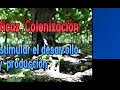 Video Corporativo