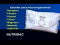 Video Corporativo
