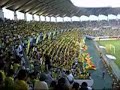 JEF-United-Chiba-fan
