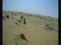 videos de Desert Storm III