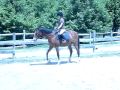 MOV04462