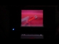 Click here to watch this video Guia de PKMN negro vídeo serperior: Camino hacueva Electroroca