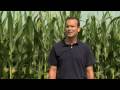 Pig Farmer Talks Crap Pig Farmer Talks Crap