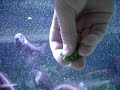 HOW TO GET PERSONAL WITH YOUR TROPHEUS