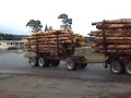 carting logs carting logs