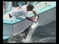 Marlin Fishing
