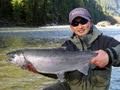 Late season coho salmon
