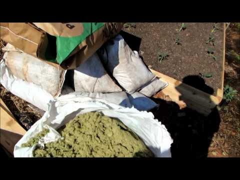 how to fertilize with kelp meal
