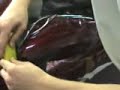 PRO-TECT Film Lexus ES350 Hood/Fender/Mirror PRO-TECT Film Lexus ES350 Hood/Fender/Mirror