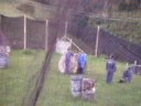 paintball con las pistolas que yo importe y vendi.