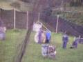 videos de paintball con las pistolas que yo importe y vendi.