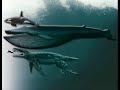 Prehistoric Giants