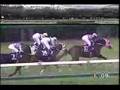 競馬 ヒシミラクル 宝塚記念