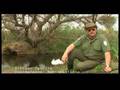 Especial Botnia Primera Parte