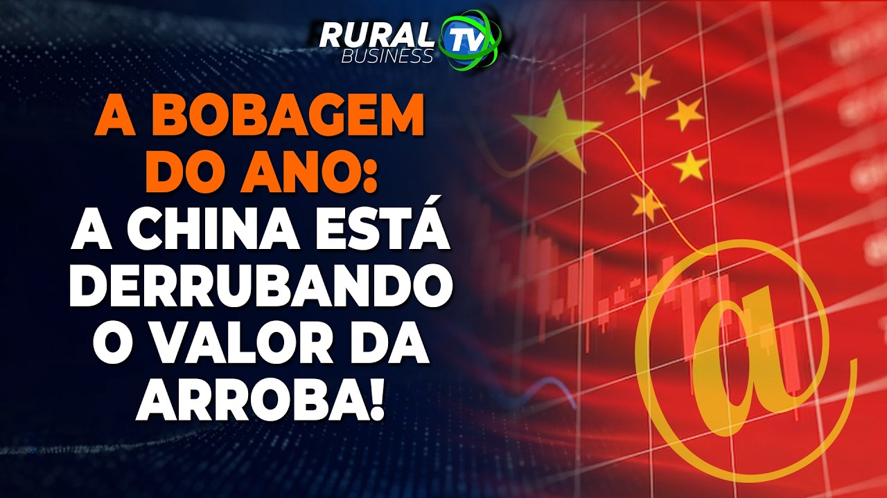 A BOBAGEM DO ANO: A CHINA ESTÁ DERRUBANDO O VALOR DA ARROBA!