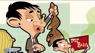 MrBean - Mr Bean - Teddy the dolphin