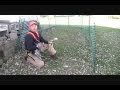 David Kruse - MSDS Video Entry