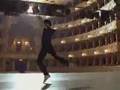 White Nights Baryshnikov (Vysotsky Horses)