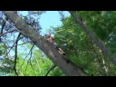 Minocqua rope swing full screen