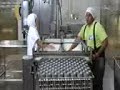 Salica del Ecuador video oficial