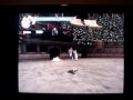 Ninja Gaiden 2 Invincibility Glitch