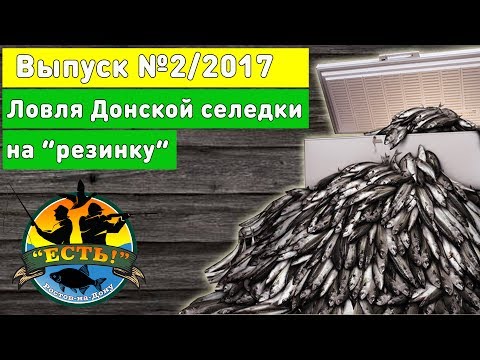 ловля селедки на дону снасти видео ловля селедки на дону снасти видео