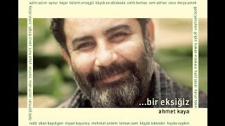 Kaçak ve Anne (Yaşar Kurt)
