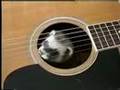 Re: Lemme In!!! (Ferret vs. Guitar)[original-audio repost]