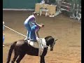 Hohenhameln II Kür - Luhmühlen Hohenhameln II Kür - Luhmühlen