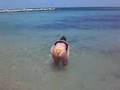 chiappe rosse al mare