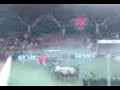 Remes Cup-kibice Lecha-\"Kolejorz\"