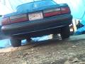 videos de 1990 2 3 EFI Mustang, stock cam and 268 cam exahaust