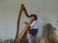 Scottish harp. (If anyone knows the title to this tune, please tell me.)