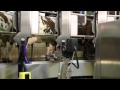 The world's first automatic milking rotary system AMR™