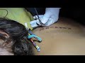 Bamboo tattoo