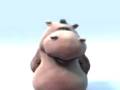 (R)hippopotamus_josip.3gp