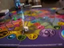 Cat playing Trivial Pursuit