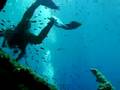 esplorazione in apnea del relitto di pomonte