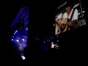 7. JOBROS lovebug for taps. 7. JOBROS lovebug for taps.