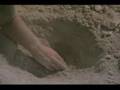 SEA MONSTERS: A PREHISTORIC ADVENTURE - TYLOSAUR FIGHT