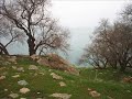 sezen aksu  geri d�n