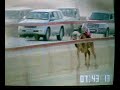 درهام قطر التمهيدي