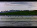 Cool Alaskan Lake