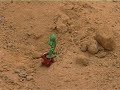 VAQUERO, LA PELICULA (LORCA ALFONSO)