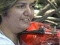 Pianguero Cantamar Esparza Puntarenas