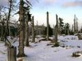 Karkonosze 2006