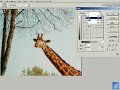 Photoshop: Regolare le tonalit� di colore con le curve