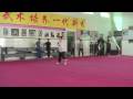 So basically we decided to take a month out of our busy gap years to go to China and learn some wushu, as people do. We went with no prior martial arts experience and landed ourselves in a class of insanely talented teenagers. Here are a few of their moves...