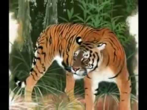 Extinct strain of the tiger (with music)