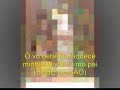 Bebe Neg�o